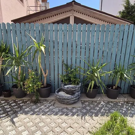Apartment Garsoniera D14