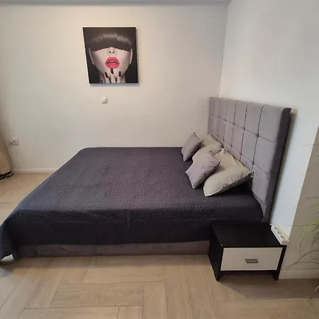 Apartment Garsoniera D14